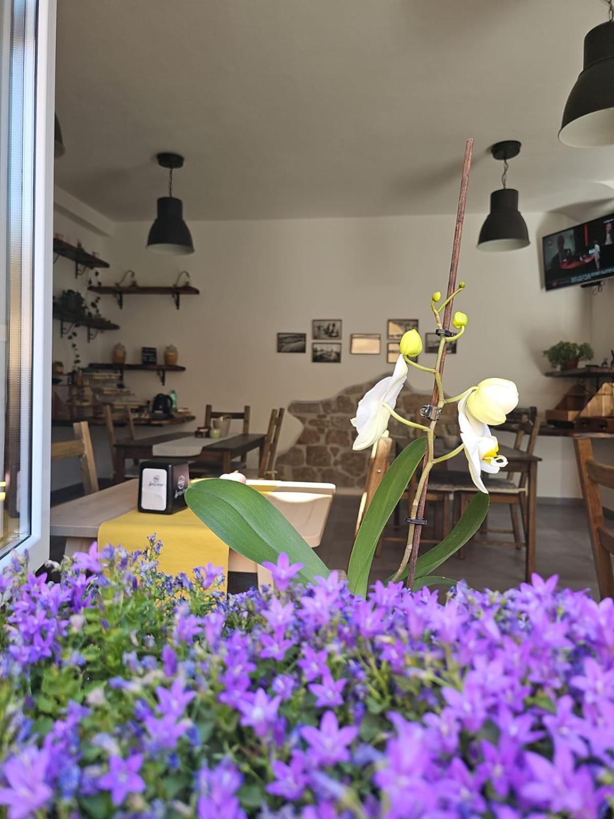 Il Busciolotto Hotel Santa Teresa Gallura Kültér fotó